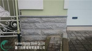 Quality Natural Split Surface Exterior Wall Cladding G603 Grey Granite Mushroom Stone Tile wholesale