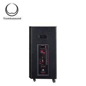 Bluetooth Multifunction Mobile Speaker 15 Inch Two Way Loudspeaker Wifi Loudspeaker