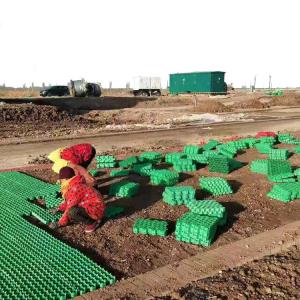 Quality Green Parking and Garden Honeycomb Gravel Grass Paver Manufactured from HDPE Plastic wholesale