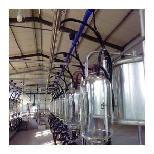 China SS304 Herringbone Milking Hall PVC pipeline Parallel Milking Parlor on sale