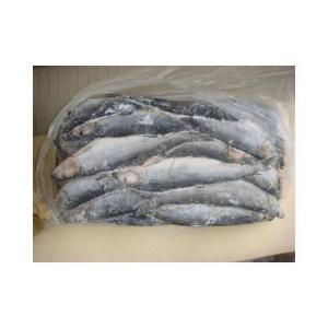 Quality Cold Chain Air Shipping From World to China wholesale