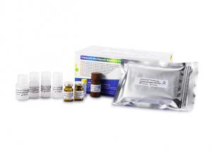 Quality Anti Mullerian Hormone Elisa Kit For Female Fertility Diagnosis wholesale