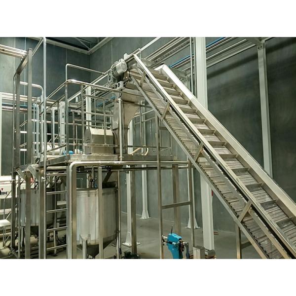 Complete Customized Strawberry Processing Line Blueberry/Strawberry/Raspberry