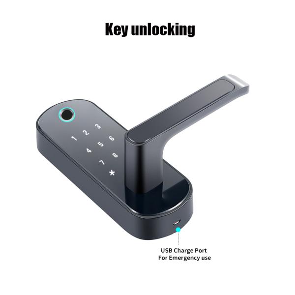 Electronic Keyless Digital Deadbolt Door Lock BLE TTLock App Smart Home Door Lock WiFi Tuya APP