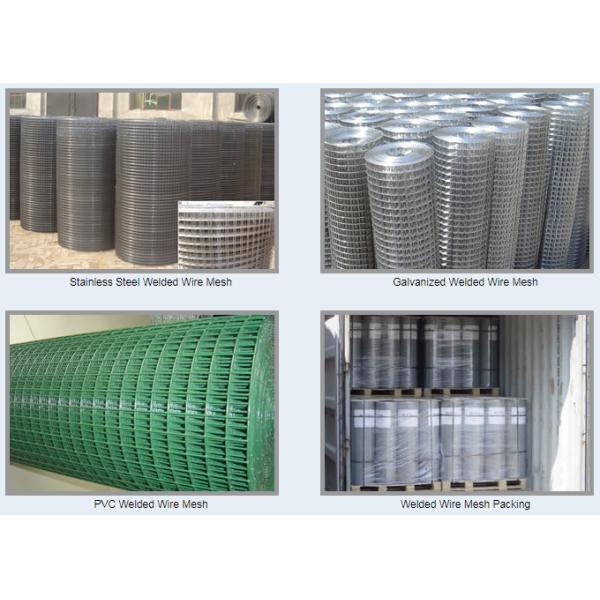 12.7mm Welded Wire Mesh