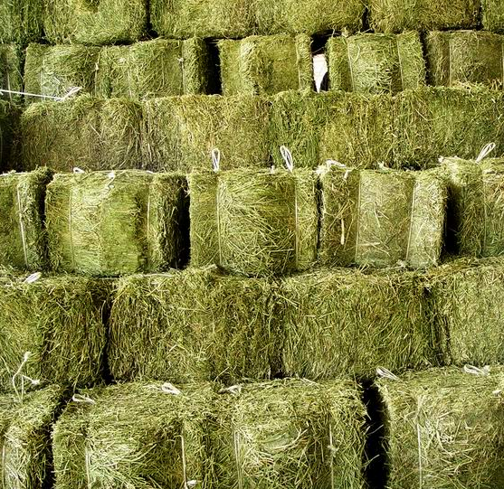 straw bales pellet line, complete pellet production line project with 1T/H~5T/H capacity