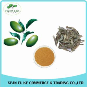 Quality High Quality Olive Leaf Extract Oleuropein 25% wholesale