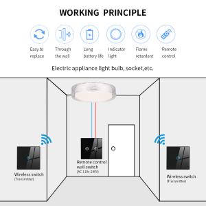 Remote Control Wifi Smart Switches with AES Encryption and AC/DC Power Supply