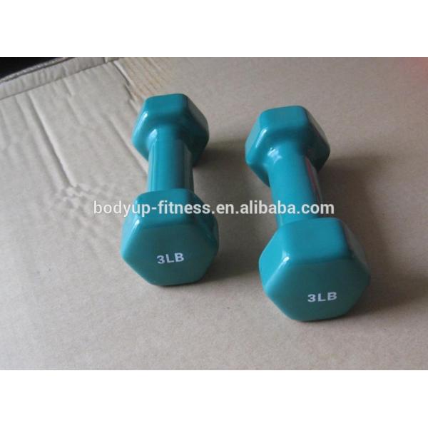 Vinyl Dumbbell.JPG
