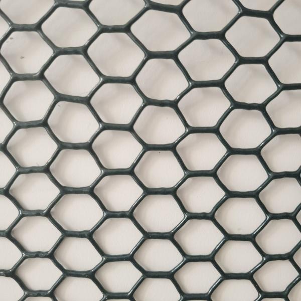 Quality PVC Coated Steel Wire Animal Chicken Mesh Netting Hexagonal Mesh Wire Netting wholesale