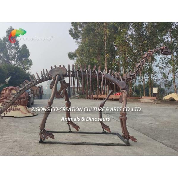 CE Jurassic Park Dinosaur Skeleton Replica Shunosaurus Skeleton weather reistance