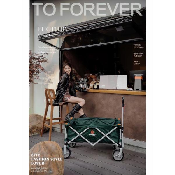 Bird-Safety UV Patterned Folding Windows - Ornilux Avian Protection