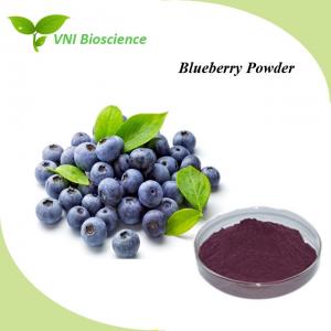 Quality Anti Aging Fruit Vegetable Powder Supplement Soluble Blueberry Fruit Powder wholesale