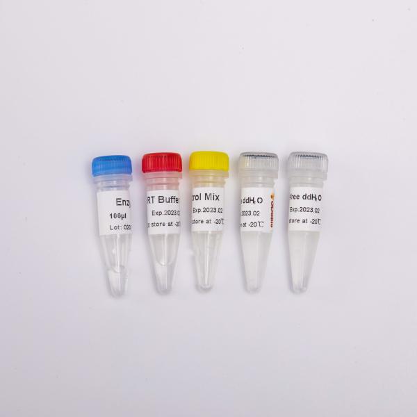 Quality GDSBio Reverse Transcriptase PCR Reagents wholesale