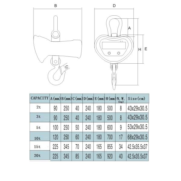 Enhanced Rotary Crane Scale OCS-RT