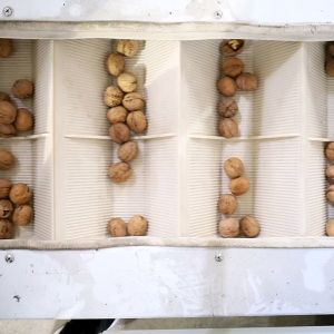 1 Ton Output 380V Walnut Shelling Machine Auto Production Line With CE