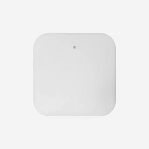 3000M Dual Band Ceiling Mounted Access Point With 1 WAN/LAN Port And 1 LAN Port
