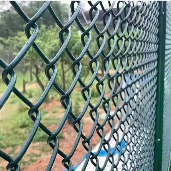 PVC Coated Galvanized Chainlink Fence Wire Mesh for Garden Protection