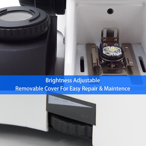 infinity Plan Achromatice Compound Optical Microscope 3W LED A12.1502 Backward Quadruple Nosepiece