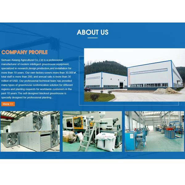 Triangle Roof Agricultural Glass Greenhouse 9.6m Width Winter Lettuce Greenhouse