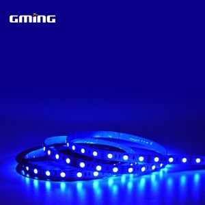 5050RGB Phantom Low Voltage LED Light Strip Full Color Illusion Light