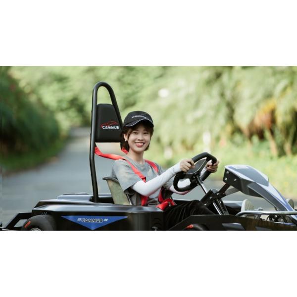 4kw Electric Pedal Go Kart Belt Drive Max 80Km/H Fast Track Indoor Karting