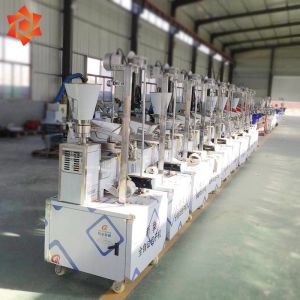 Food Making Automatic Pasta Machine Fully Automatic Spring Roll Machine