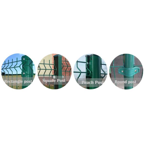 Reasonable Hot-dipped Galvanized PVC 3d Welded Wire Mesh Fence Panels for Metal Frame