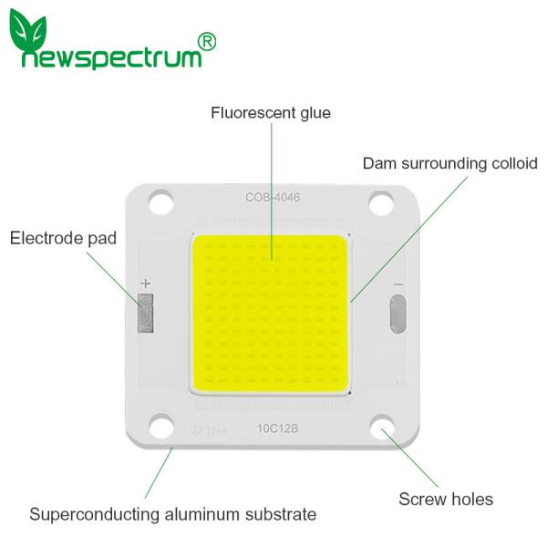 DC Inverted Integrated COB LED Module 20W 30W High Power LED