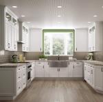 Paint Door Finish Solid Wood Kitchen Cabinets Solid Wood Material Blum / Dtc