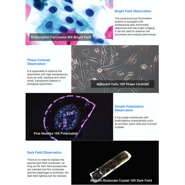 OPTO-EDU A12.0921-T Nueva luz LED binocular avanzada biologico microscopio de laboratorio