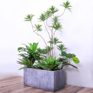 Quality Natural Wood Artificial Landscape Trees Lily Bamaboo For Home Decor Evergreen No Water wholesale