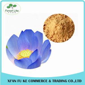 China China Manufacturer Blue Lotus Extract/Dried Blue Lotus Flower Extract/GMP Blue Lotus Powder on sale