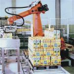 Collaborative Robot Palletizer System Single Column Robotic Palletizer