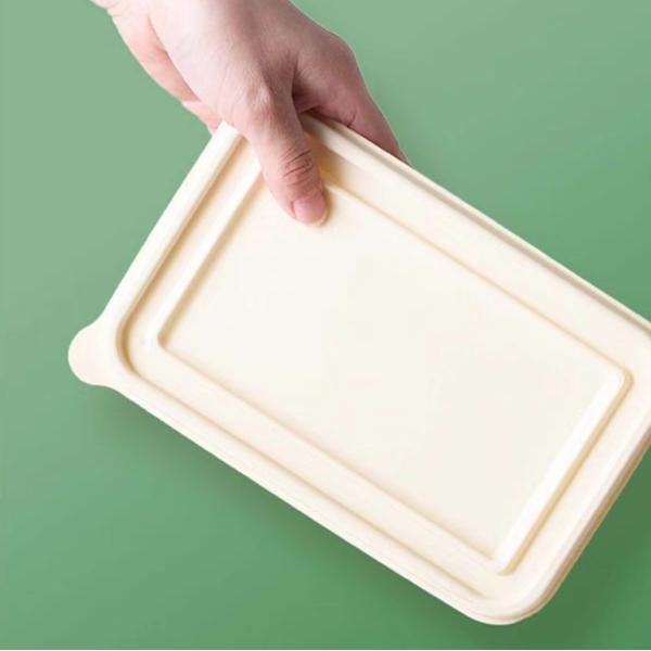 Takeout Fast Food Biodegradable Container Environmentally Friendly Bowls With Lid