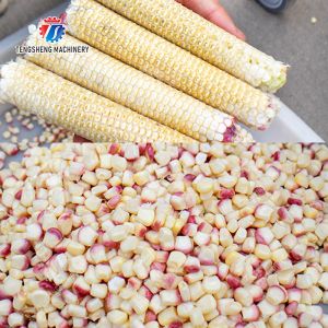 Corn thresher processing production Supplying Machine