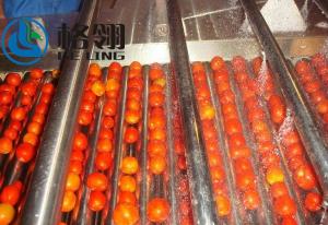 Quality Customized 316l Automatic Tomato Paste Production Line 1-100ton Juice Production Line wholesale
