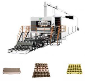 Quality Stable Corrugated Paper Tray Making Machine Pulp Molded Products wholesale