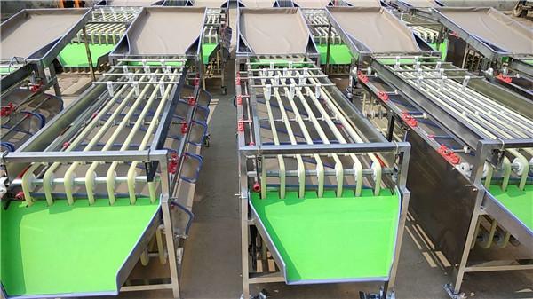 Cheap mini dates sorting machine, lemon grading machine, onion potato sorting machine for sale