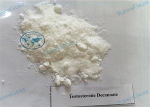 Quality Injectable Testosterone Decanoate Powder for Promote Male Hormone And Protein Synthesis wholesale