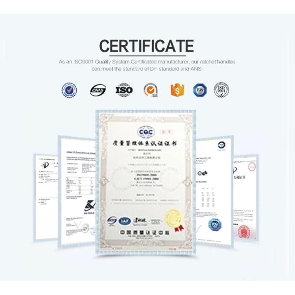 Customized Support ODM 1200mm Diamond Segments for Fast Sharp Cutting of Multi-blade