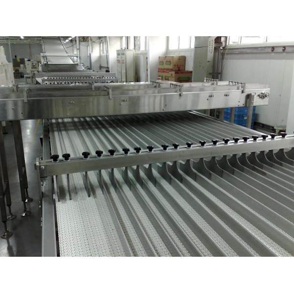 Food Grade Modular Belt Conveyor System for The Material of Moist Seafood Meat Material