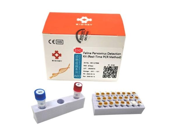 Cheap Fluorescence Feline Cat Test Kit Parvo FPV Test Cat Real Time Quantitative for sale