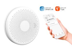 China Portable WiFi Smoke Detector Alarm Combine Co Detector Carbon Monoxide Alarm  With  Low Power Remind on sale