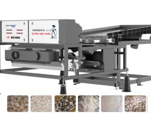 Quality Single Layer 3 - 8 Cm Crude Salt Color Sorter With FPGA Processor wholesale