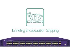 Quality NPB Network Packet Sniffer GTP GRE PPTP L2TP PPPOE Tunneling Protocol Label Header Stripping wholesale