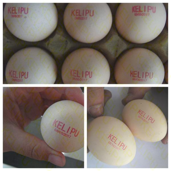 High Efficiency Egg Stamping Equipment For Printing Trademarks And Dates