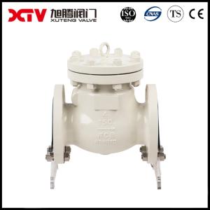 China Performance ANSI Swing Type Check Valve for Heavy Duty Wcb/Stainless Steel GB/T 12236 on sale