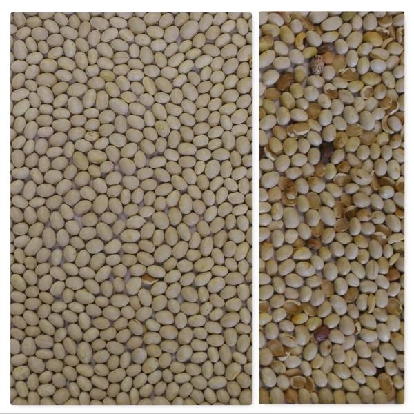 LED Light Control System Nuts Color Sorter Self Checking 64 Channels