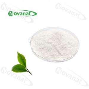 China epigallocatechin Gallate Green Tea Extract/EGCG Powder 94%/95%/98%/Decaffeinated on sale
